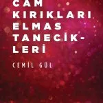 Cam Kırıkları Elmas Tanecikleri